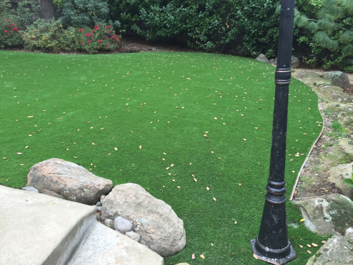 Lawn Services Peetz, Colorado Design Ideas, Backyard Landscaping