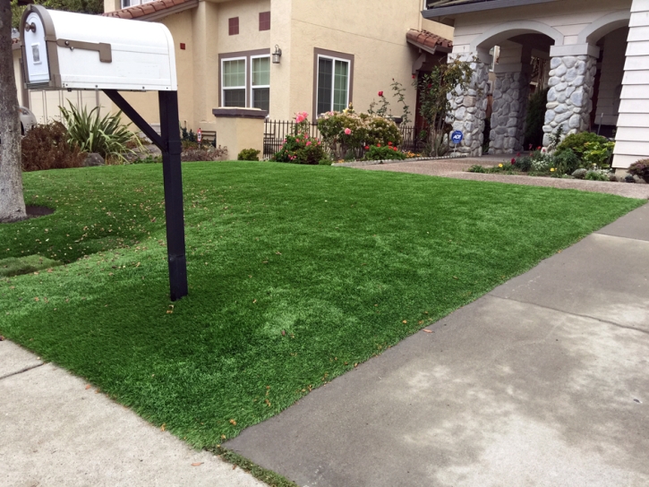 Lawn Services Pine Brook Hill, Colorado Lawn And Garden, Front Yard Design