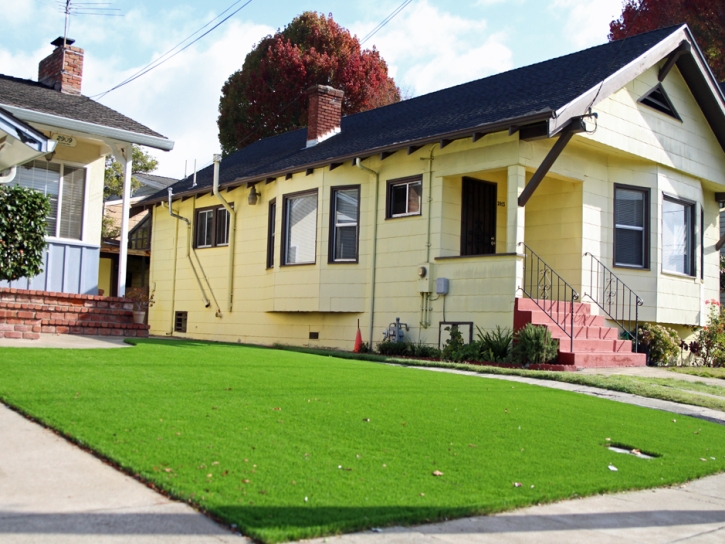 Outdoor Carpet Avondale, Colorado City Landscape, Front Yard Ideas