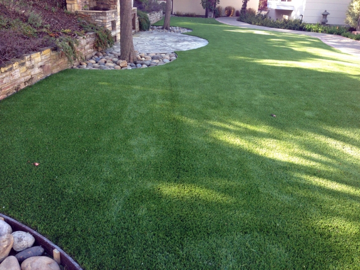 Outdoor Carpet Blanca, Colorado Dog Running, Backyards