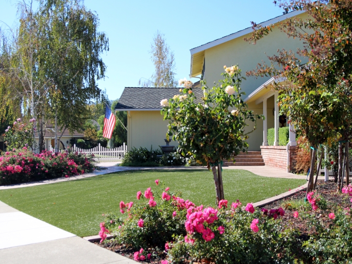 Outdoor Carpet Copper Mountain, Colorado City Landscape, Front Yard Landscaping Ideas