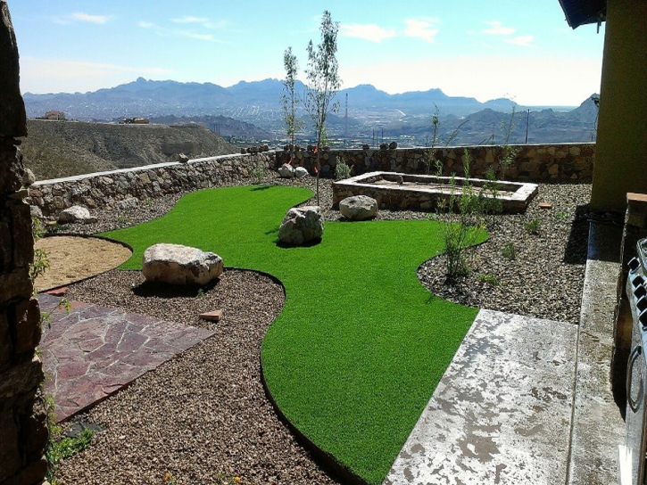 Outdoor Carpet East Pleasant View, Colorado Dog Pound, Backyard Designs