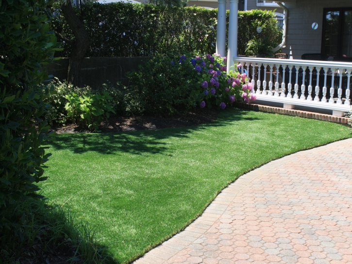 Outdoor Carpet Fowler, Colorado Pictures Of Dogs, Landscaping Ideas For Front Yard