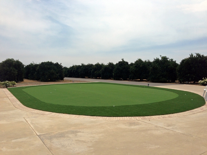 Outdoor Carpet Longmont, Colorado Putting Green Grass, Landscaping Ideas For Front Yard