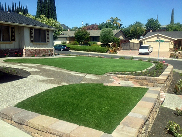 Outdoor Carpet Nucla, Colorado Landscape Ideas