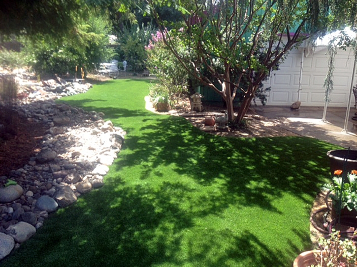 Outdoor Carpet Olathe, Colorado Lawns, Backyard Garden Ideas