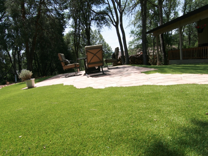 Outdoor Carpet Otis, Colorado Landscaping Business, Backyards