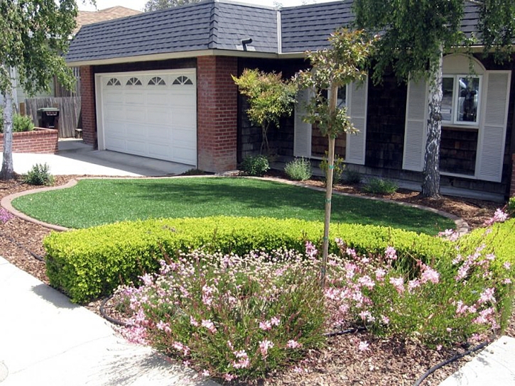 Outdoor Carpet Red Cliff, Colorado Roof Top, Small Front Yard Landscaping