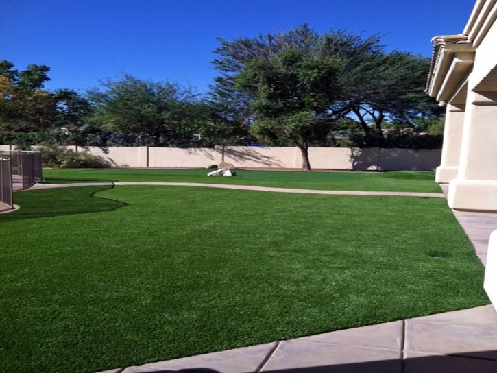 Plastic Grass Blue River, Colorado Lawn And Landscape, Front Yard Ideas