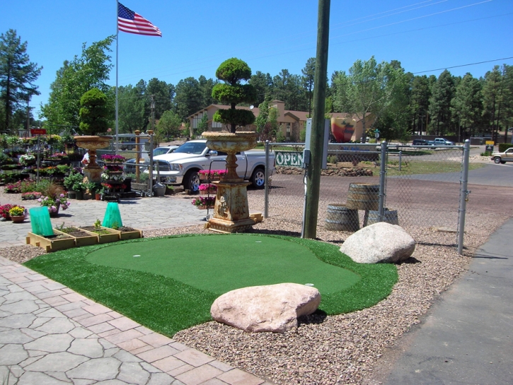 Plastic Grass Center, Colorado Indoor Putting Greens, Commercial Landscape