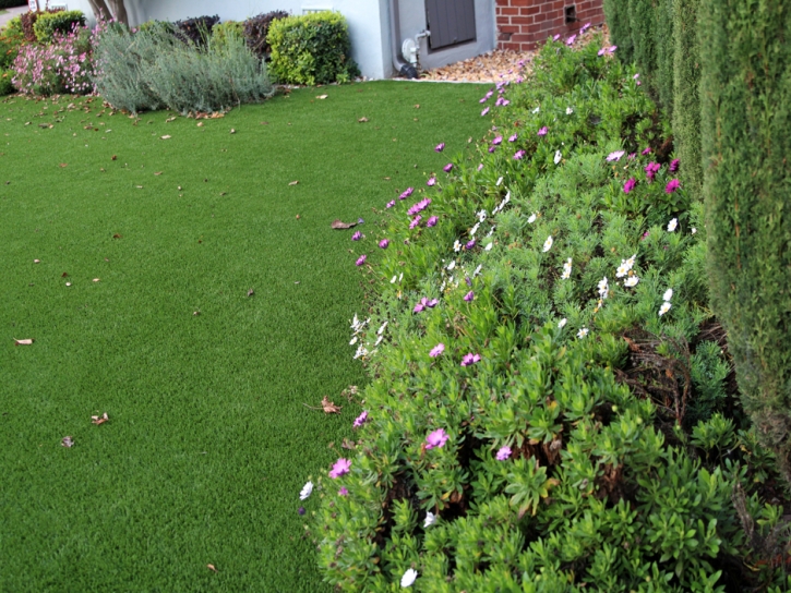 Plastic Grass Elbert, Colorado Design Ideas, Small Front Yard Landscaping