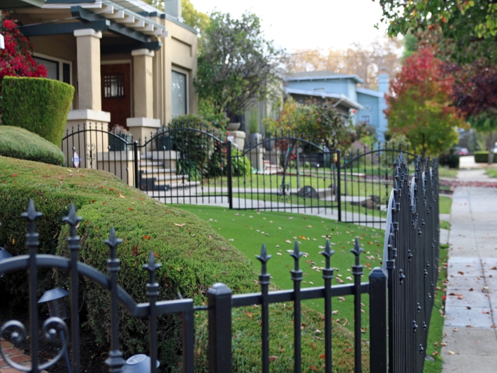 Plastic Grass Erie, Colorado Landscaping, Front Yard Ideas