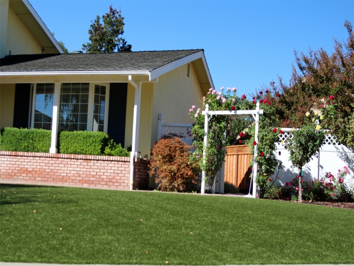 Plastic Grass Kersey, Colorado Design Ideas, Landscaping Ideas For Front Yard