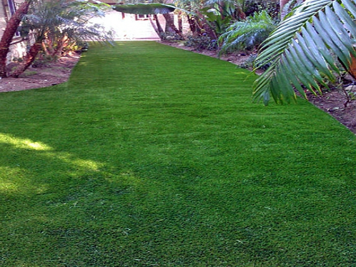 Plastic Grass Mead, Colorado Lawn And Garden, Backyard Garden Ideas