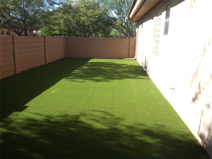 Plastic Grass Olney Springs, Colorado Roof Top, Small Backyard Ideas