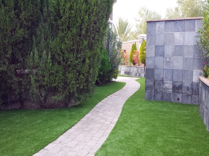 Plastic Grass Ovid, Colorado Home And Garden, Commercial Landscape