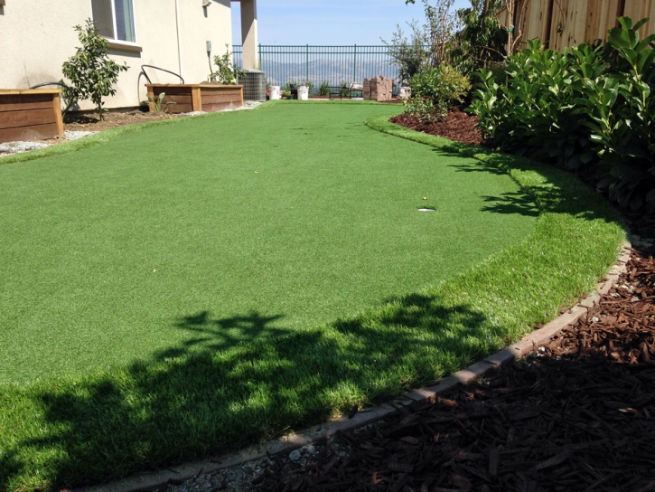 Plastic Grass Pierce, Colorado Paver Patio, Backyard Landscaping Ideas