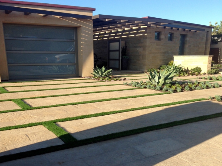 Synthetic Grass Castlewood, Colorado Landscape Ideas, Front Yard