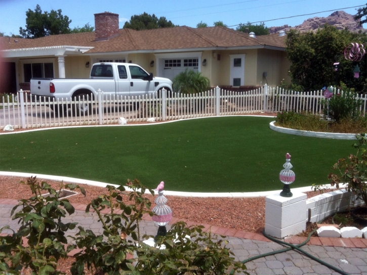 Synthetic Grass Cost Alma, Colorado Landscaping, Front Yard