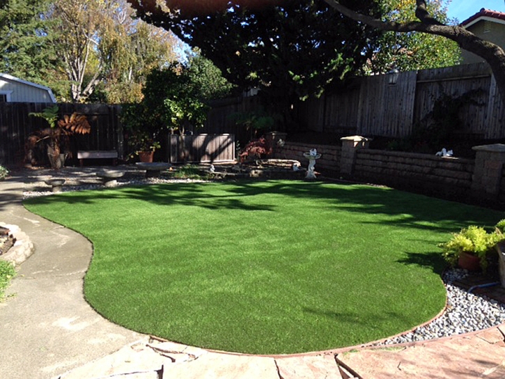 Synthetic Grass Cost Gypsum, Colorado Backyard Playground, Small Backyard Ideas