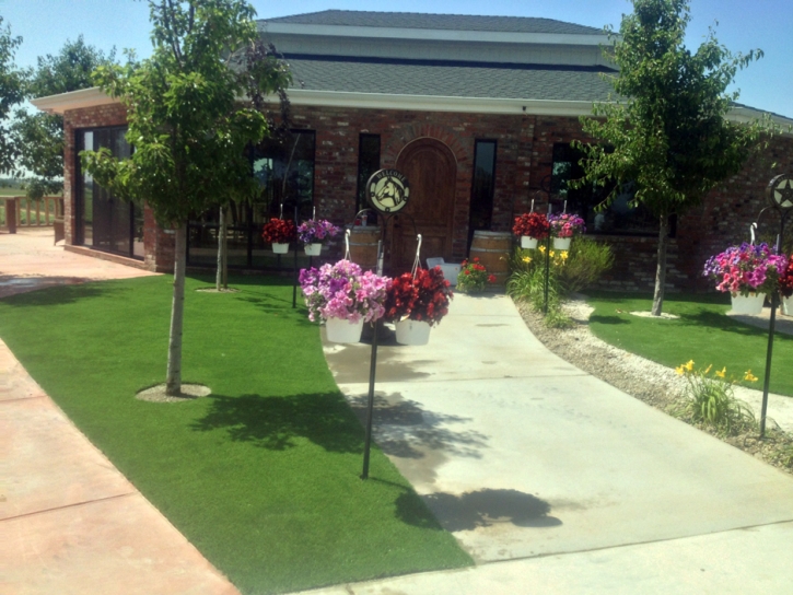 Synthetic Grass Cost Keystone, Colorado Landscape Photos, Commercial Landscape