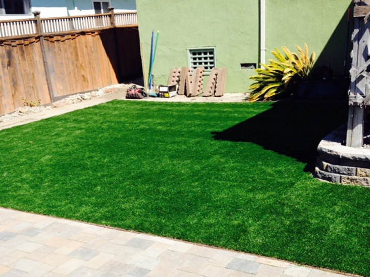 Synthetic Grass Eldorado Springs, Colorado Dog Run, Backyard Designs