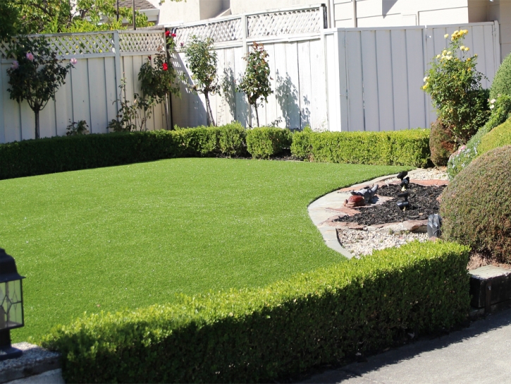 Synthetic Grass Fountain, Colorado Rooftop, Backyards