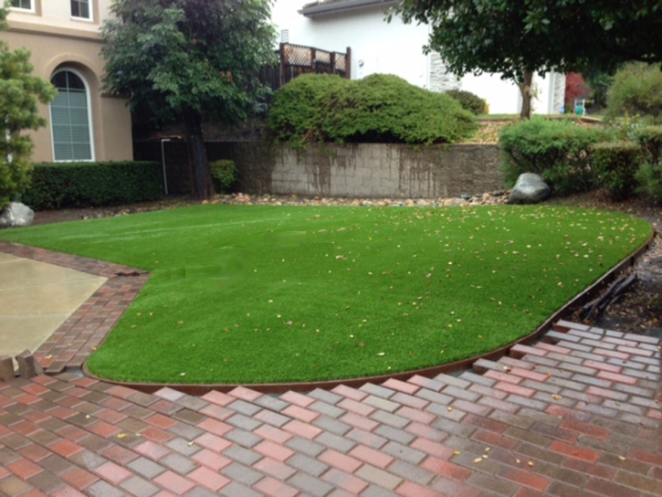 Synthetic Grass Foxfield, Colorado Landscape Design, Front Yard Landscape Ideas