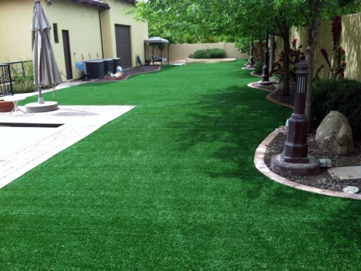 Synthetic Grass Holly, Colorado Landscaping Business, Backyards