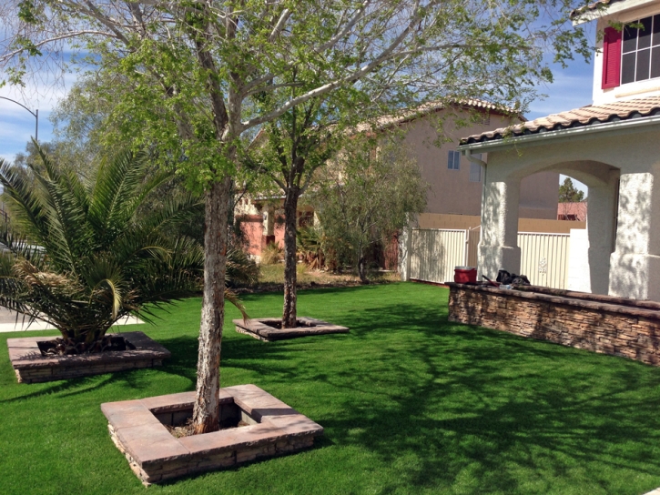 Synthetic Grass Manassa, Colorado City Landscape, Small Front Yard Landscaping