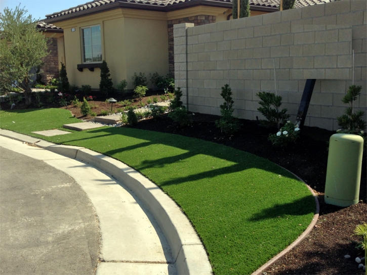 Synthetic Grass Minturn, Colorado Landscape Ideas, Front Yard