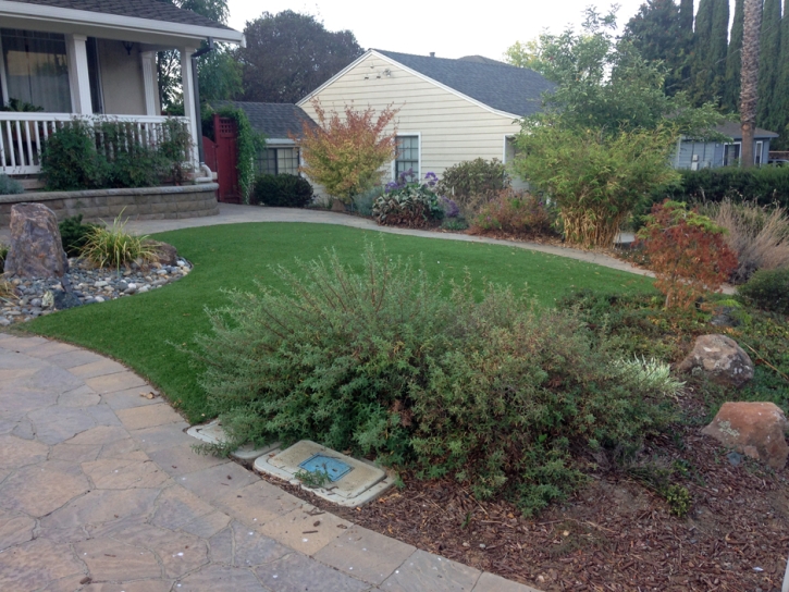 Synthetic Grass Roxborough Park, Colorado Backyard Playground, Front Yard Landscape Ideas