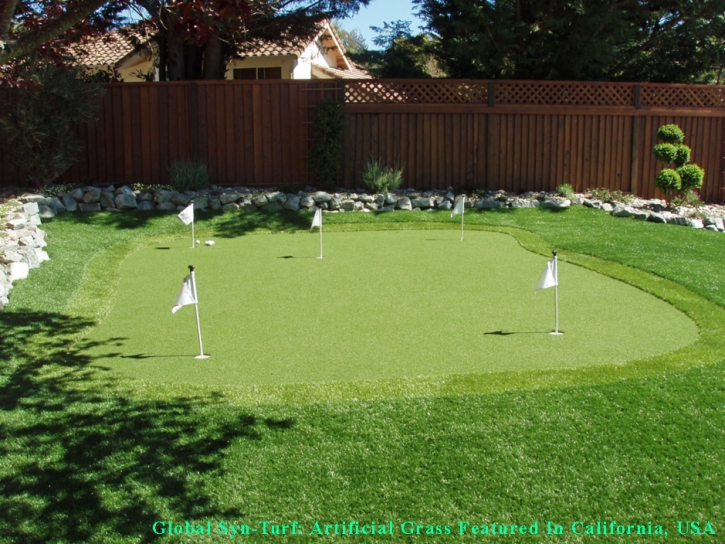 Synthetic Grass Twin Lakes, Colorado Backyard Playground, Backyard Landscaping