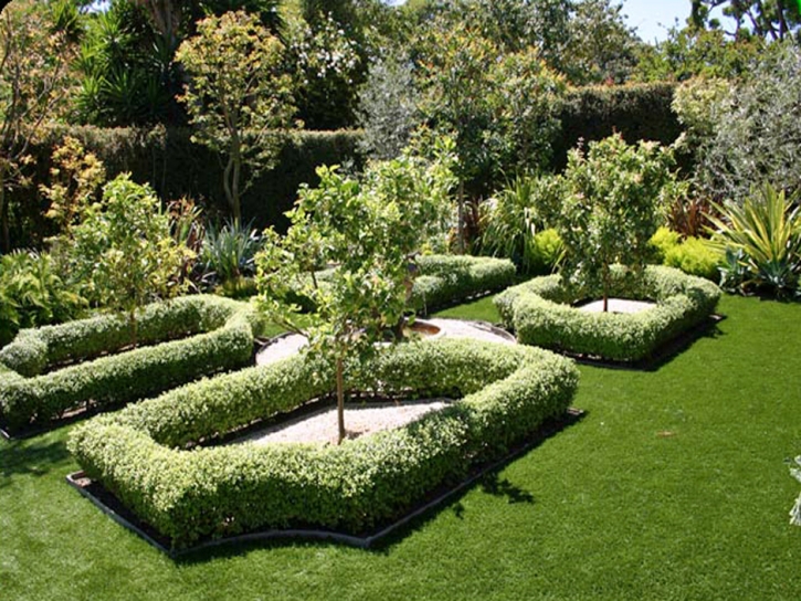 Synthetic Lawn Byers, Colorado City Landscape