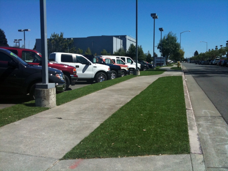 Synthetic Lawn Erie, Colorado Landscape Rock, Commercial Landscape