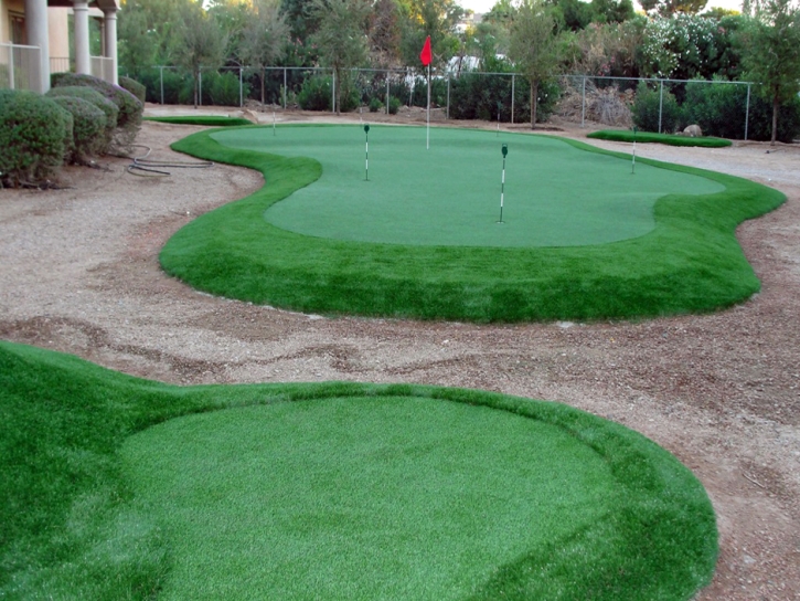 Synthetic Lawn Highlands Ranch, Colorado Putting Green Grass, Beautiful Backyards