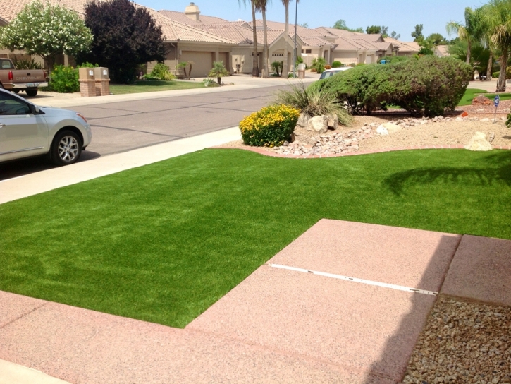 Synthetic Lawn Hillrose, Colorado Roof Top, Front Yard Landscape Ideas