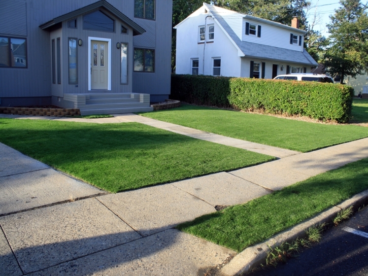 Synthetic Lawn Holly, Colorado Landscaping, Front Yard Landscape Ideas