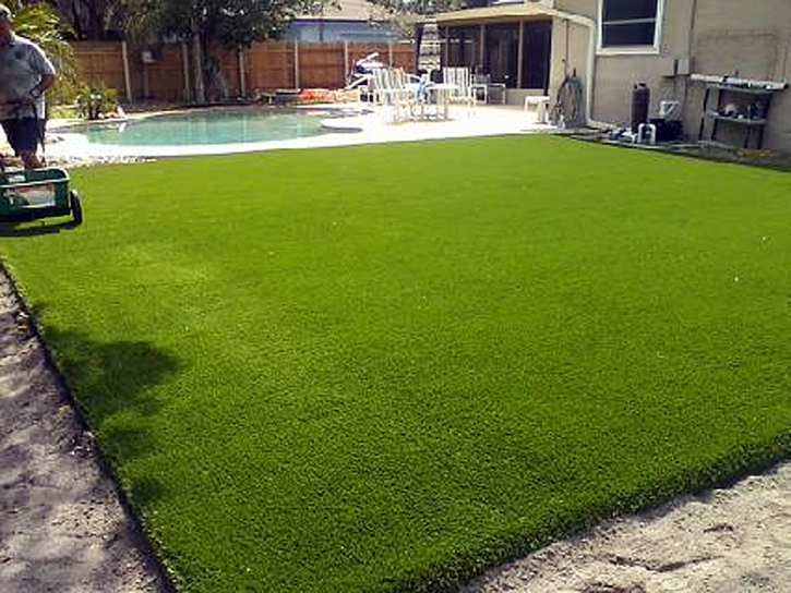 Synthetic Lawn Otis, Colorado Landscape Ideas, Backyard Landscape Ideas