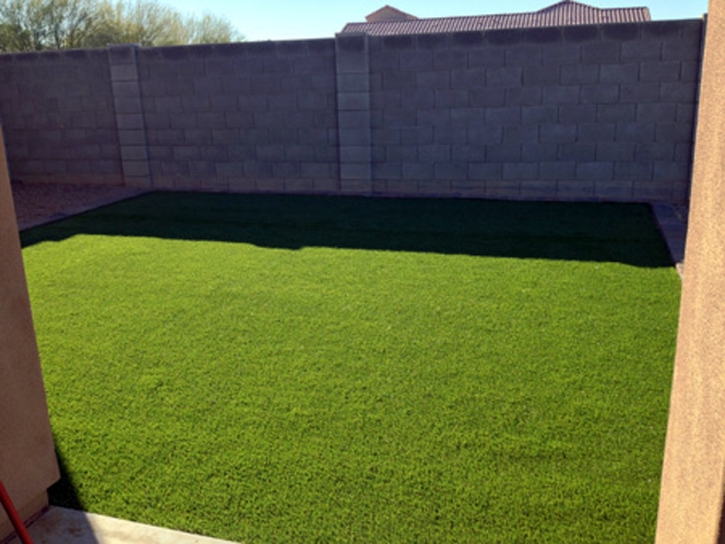 Synthetic Turf Allenspark, Colorado Lawn And Landscape, Backyard Ideas