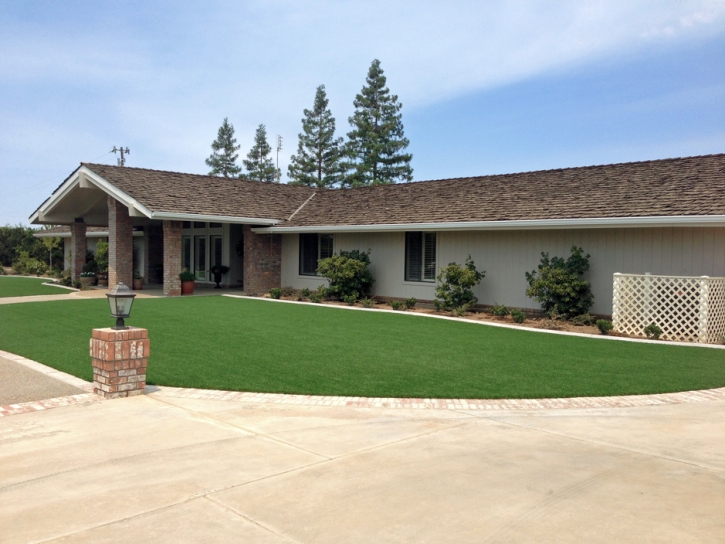 Synthetic Turf Avon, Colorado Rooftop, Landscaping Ideas For Front Yard