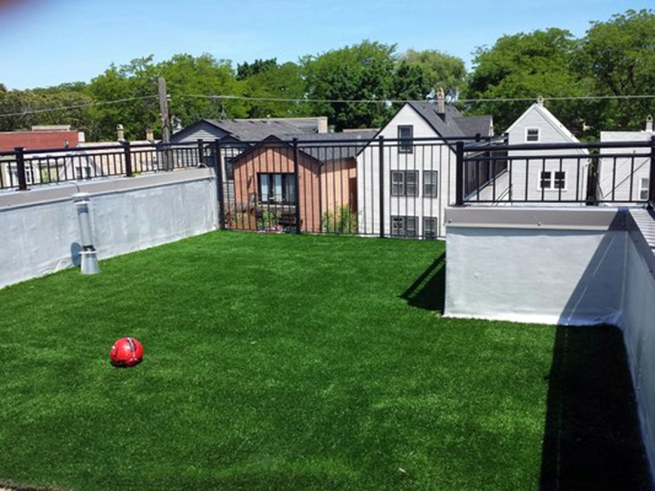 Synthetic Turf Estes Park, Colorado Landscape Ideas, Patio