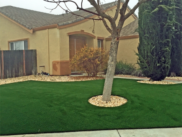 Synthetic Turf Fleming, Colorado Rooftop, Front Yard Landscape Ideas