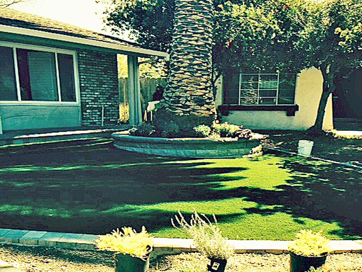 Synthetic Turf Foxfield, Colorado Landscape Ideas, Landscaping Ideas For Front Yard