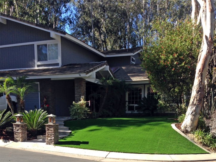 Synthetic Turf Gleneagle, Colorado Lawn And Garden, Front Yard Landscape Ideas