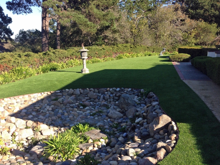 Synthetic Turf Hayden, Colorado Cat Grass, Backyard Makeover