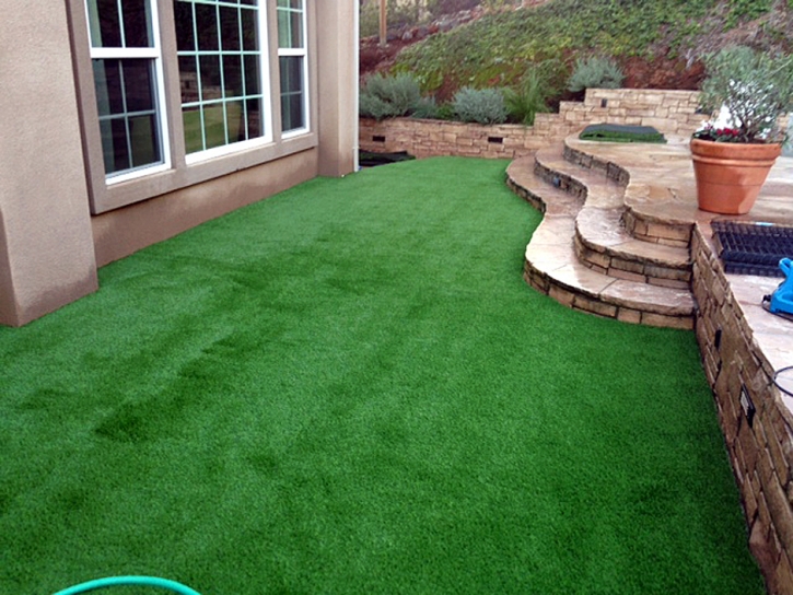 Synthetic Turf Merino, Colorado Lawns, Backyard Landscape Ideas