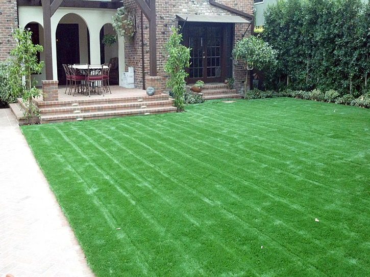 Synthetic Turf Mount Crested Butte, Colorado Landscaping, Front Yard Landscaping