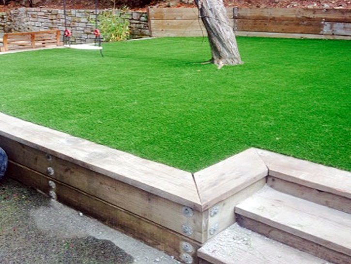 Synthetic Turf Platteville, Colorado Landscape Ideas, Beautiful Backyards