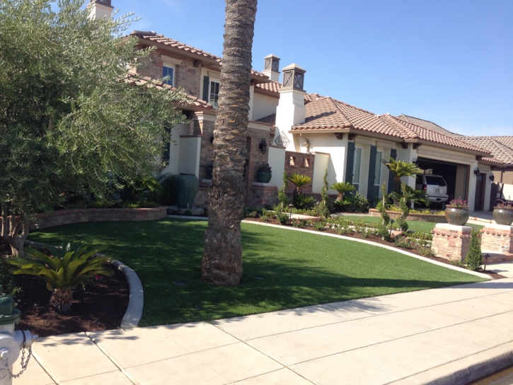 Synthetic Turf Silver Cliff, Colorado Design Ideas, Small Front Yard Landscaping